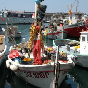 bootje in een haventje langs de Italiaanse riviera