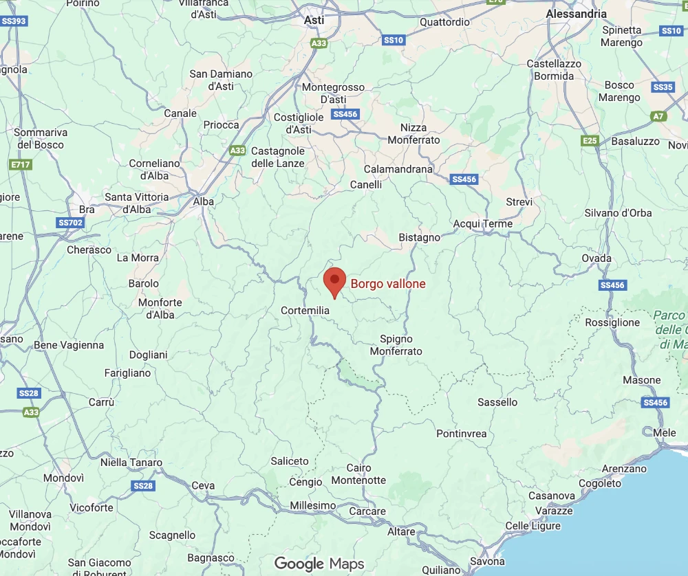 kaart met link naar Google map