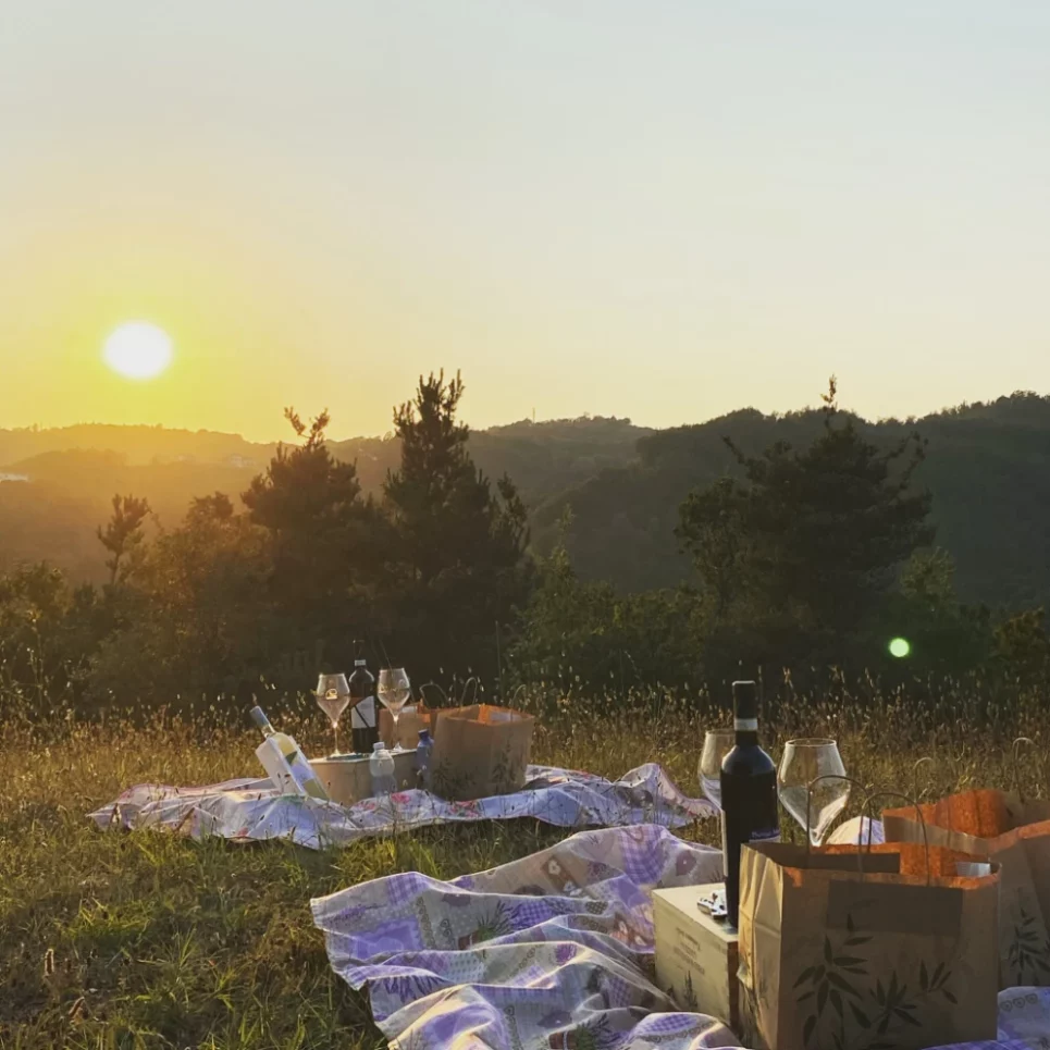 pic nic in de Wijngaard